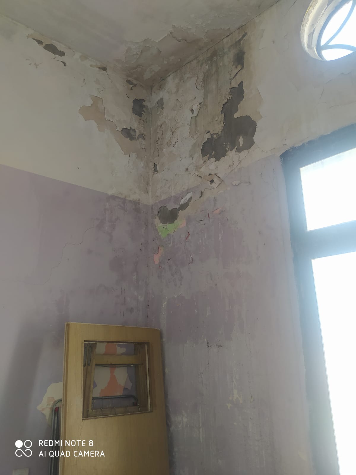 WhatsApp Image 2021-09-22 at 5.02.49 PM.jpeg